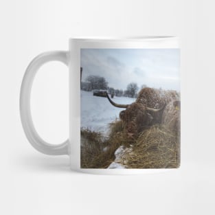 Scottish Highland Cattle Cow and Calf 1880 Mug